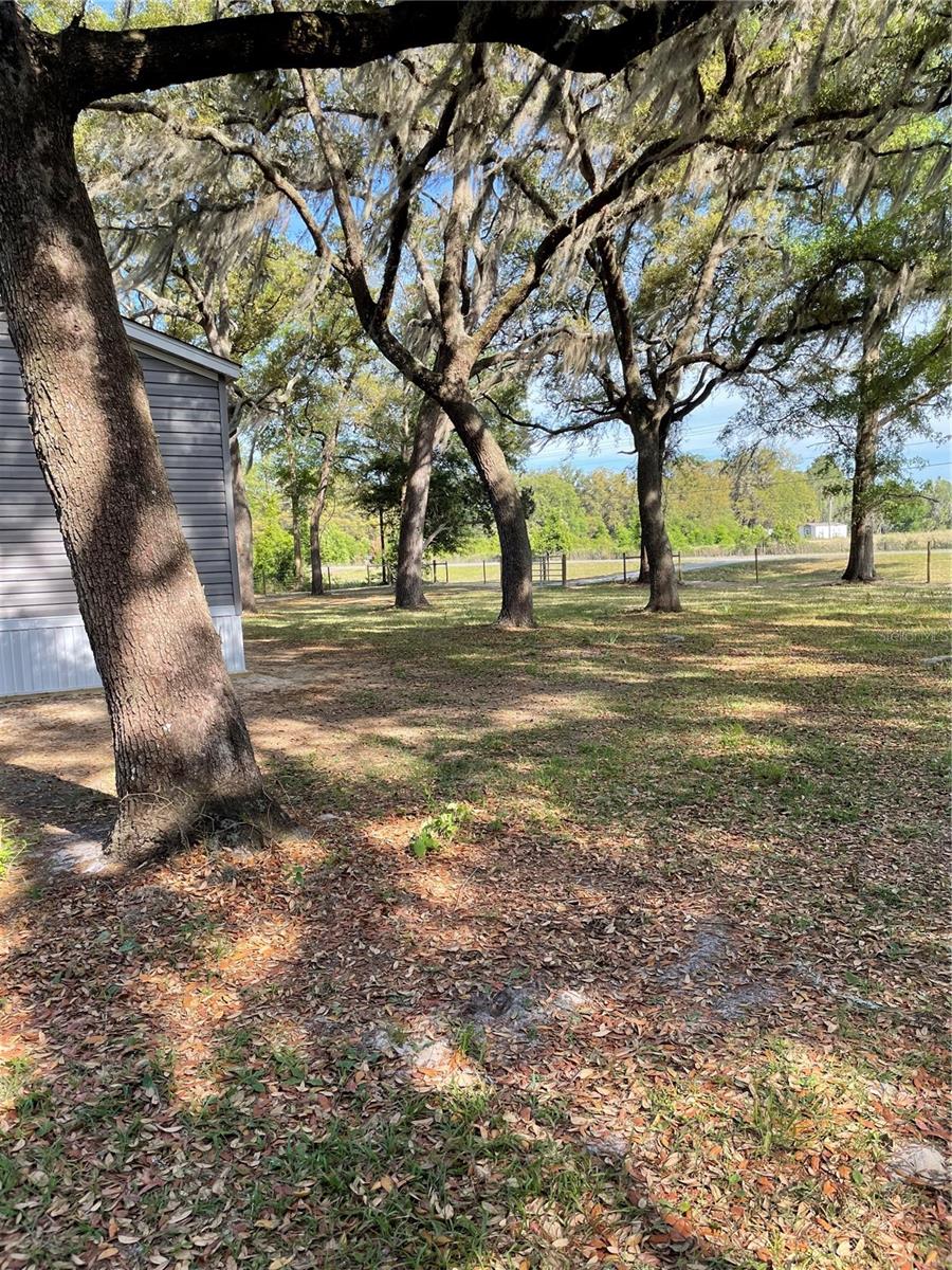 SUWANNEE RIVER FARMS - Residential