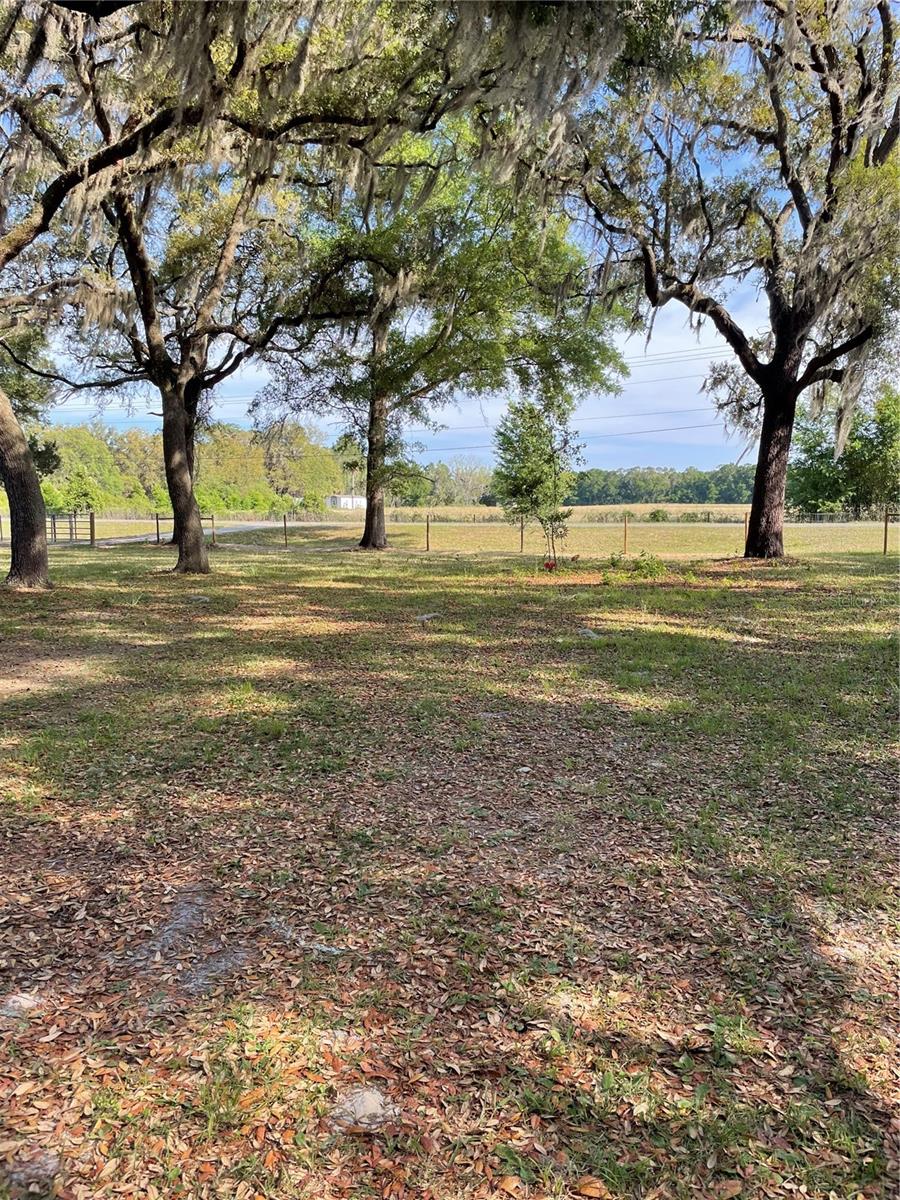 SUWANNEE RIVER FARMS - Residential