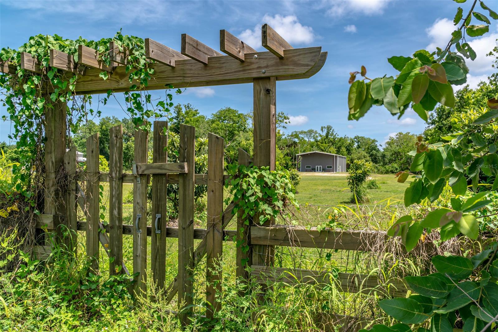 Assessors Pablo Rosette Gran - Commercial Sale