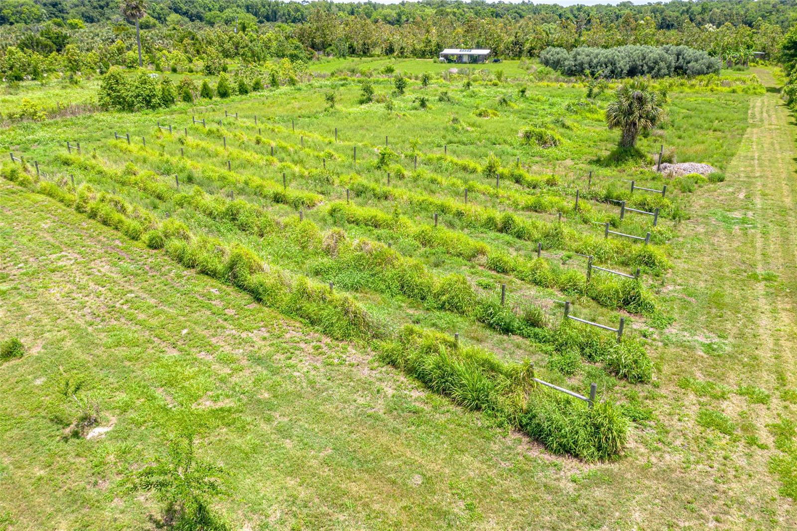 Assessors Pablo Rosette Gran - Commercial Sale