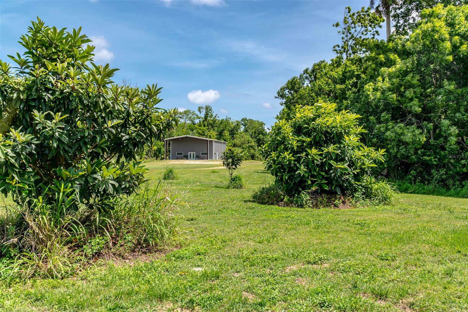 Assessors Pablo Rosette Gran - Commercial Sale