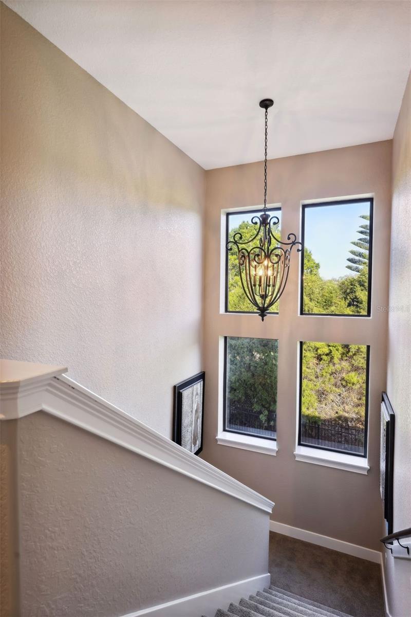 STEEPLECHASE - Residential