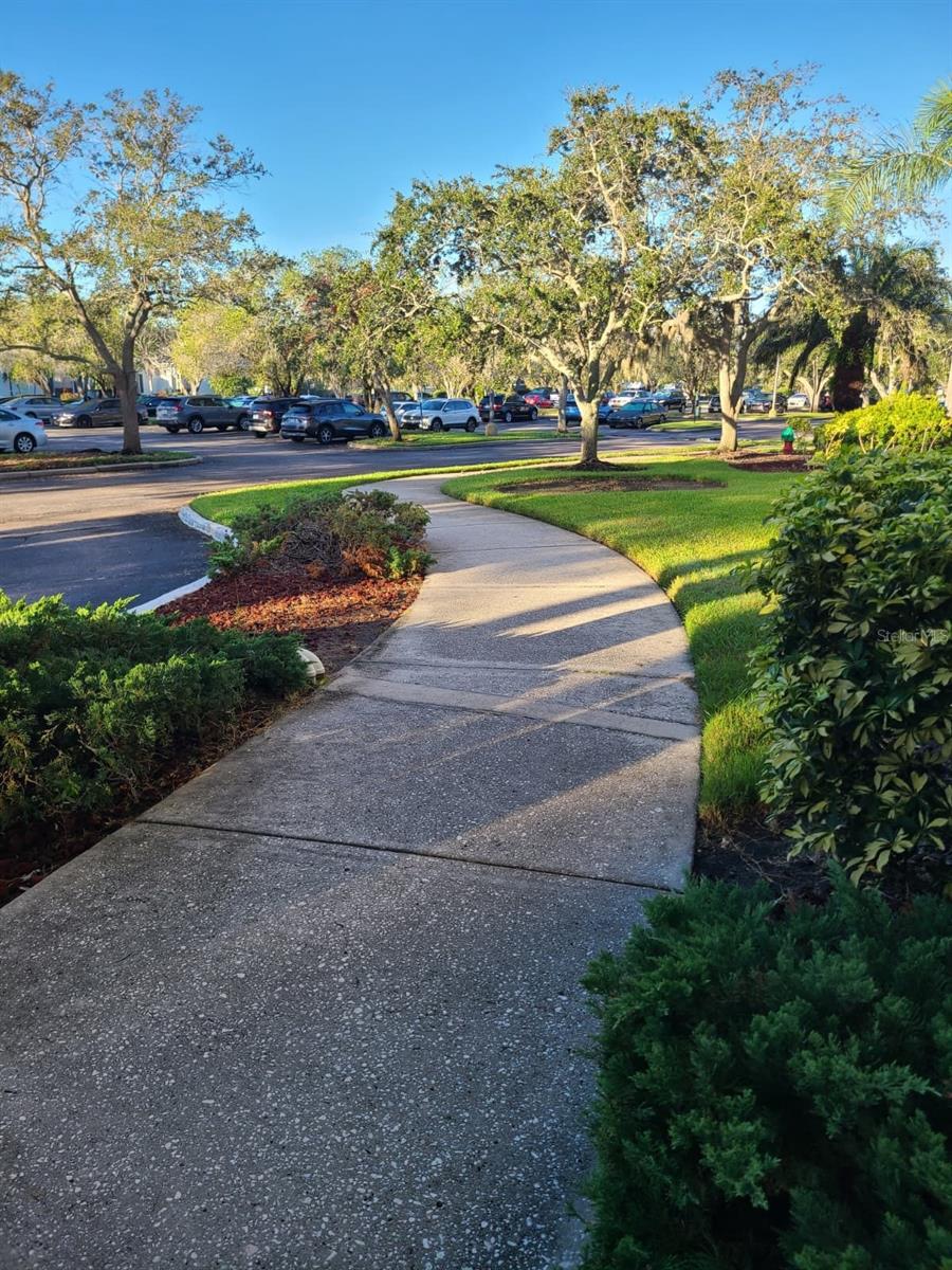 CRYSTAL BAY CONDO - Residential