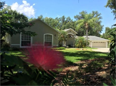 A home in KISSIMMEE