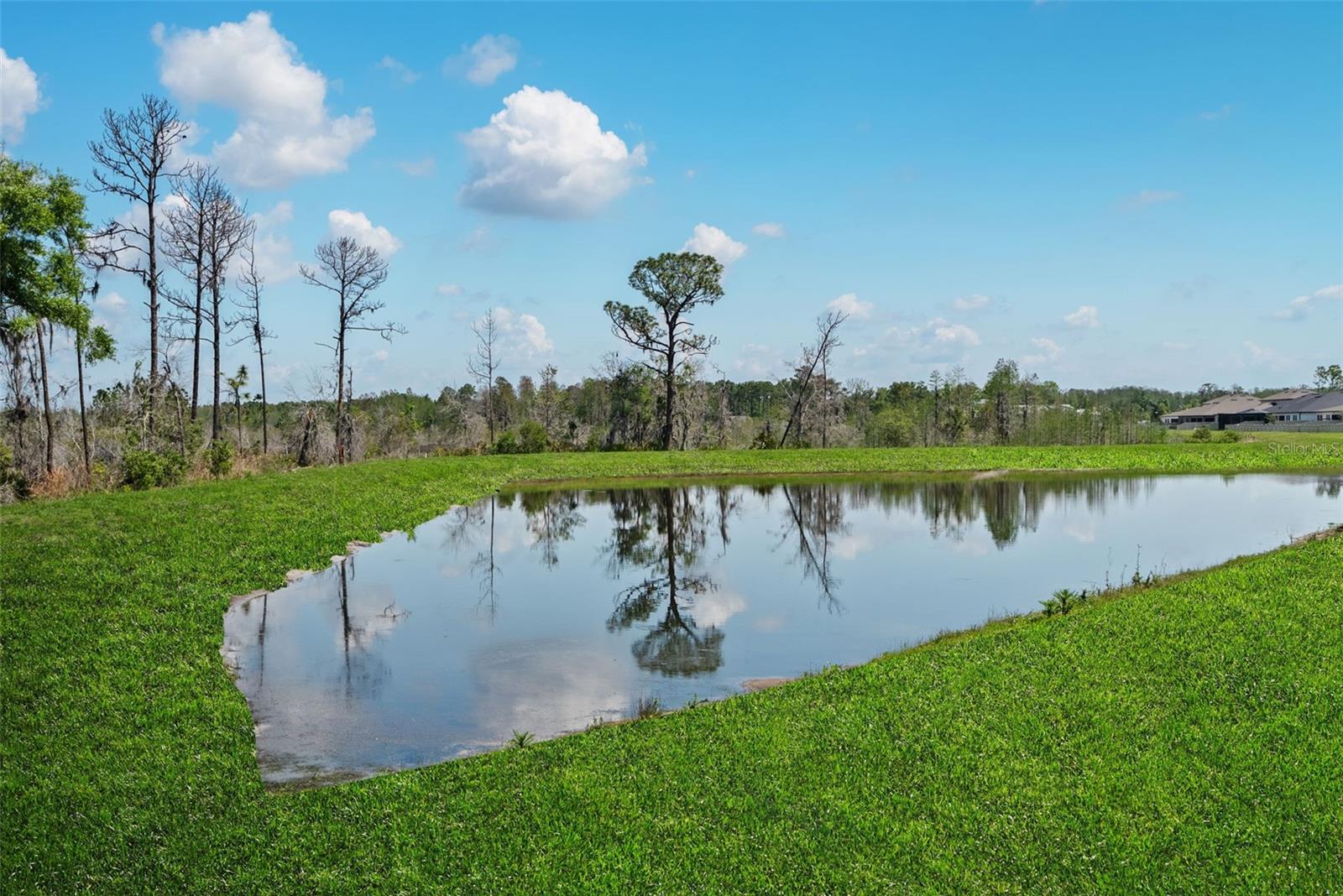 8934 LITTLE BLUESTEM DRIVE