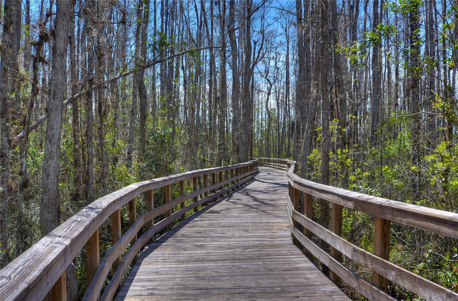 CONNERTON VILLAGE 4 PH 1 - Residential