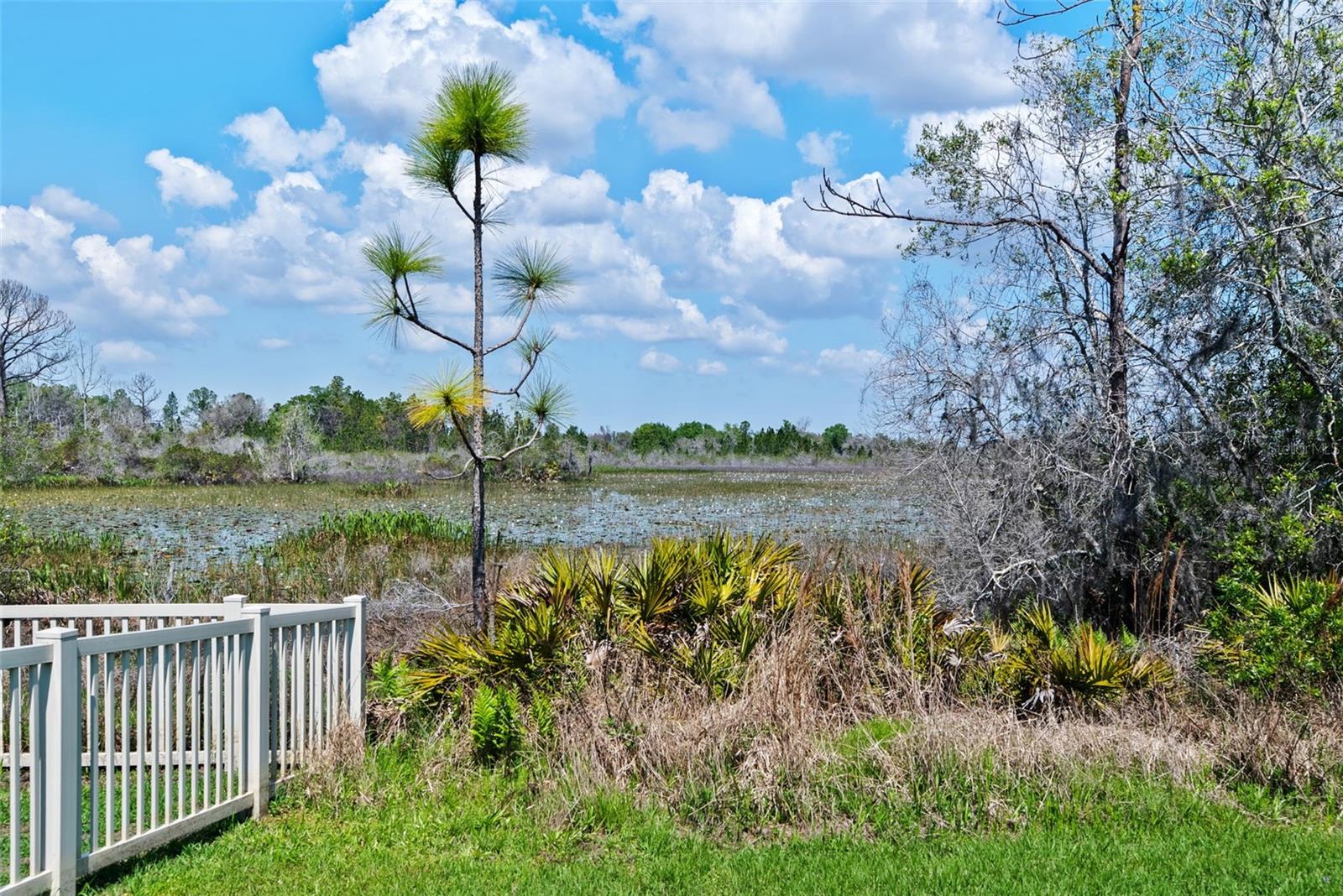 CONNERTON VILLAGE 4 PH 1 - Residential