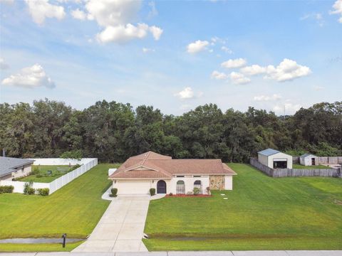 A home in LAND O LAKES