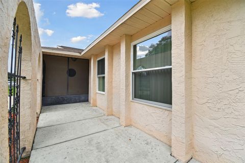 A home in LAND O LAKES