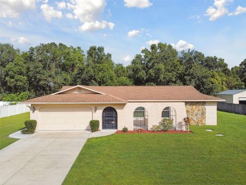 A home in LAND O LAKES