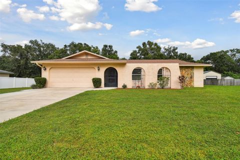 A home in LAND O LAKES