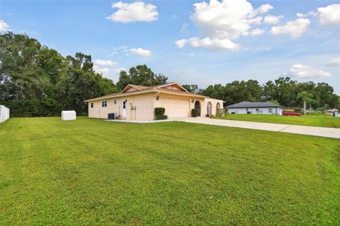 A home in LAND O LAKES