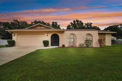 A home in LAND O LAKES