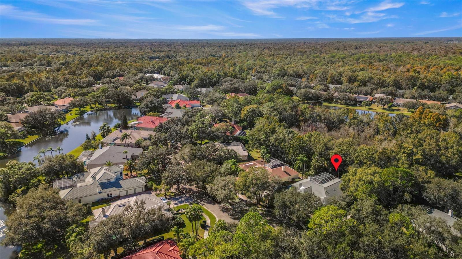 TAMPA PALMS - Residential