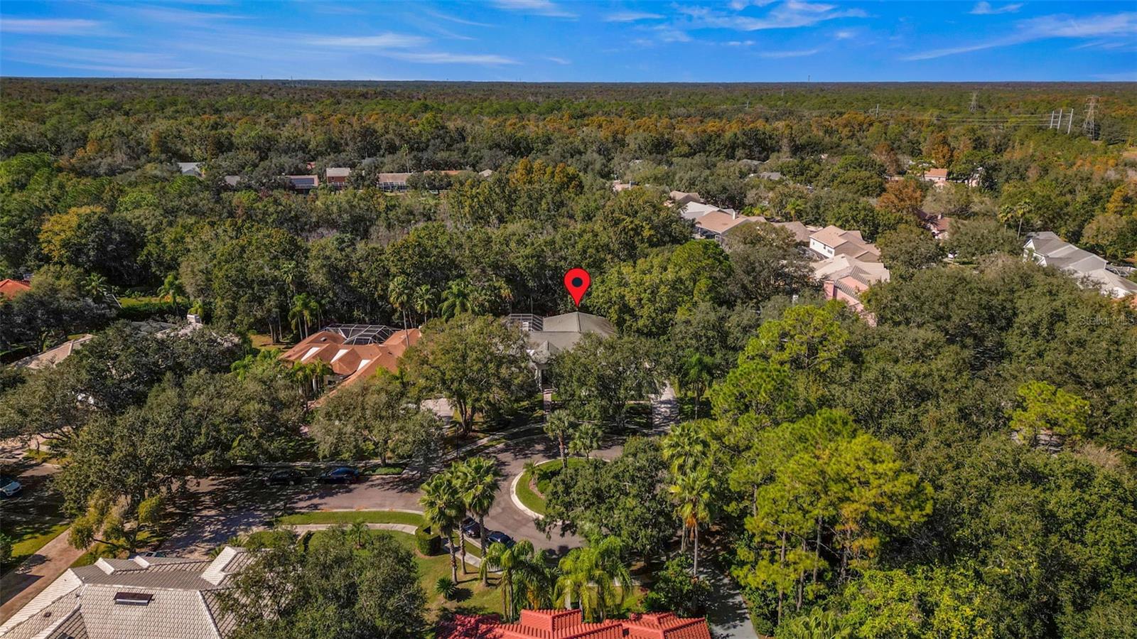 TAMPA PALMS - Residential