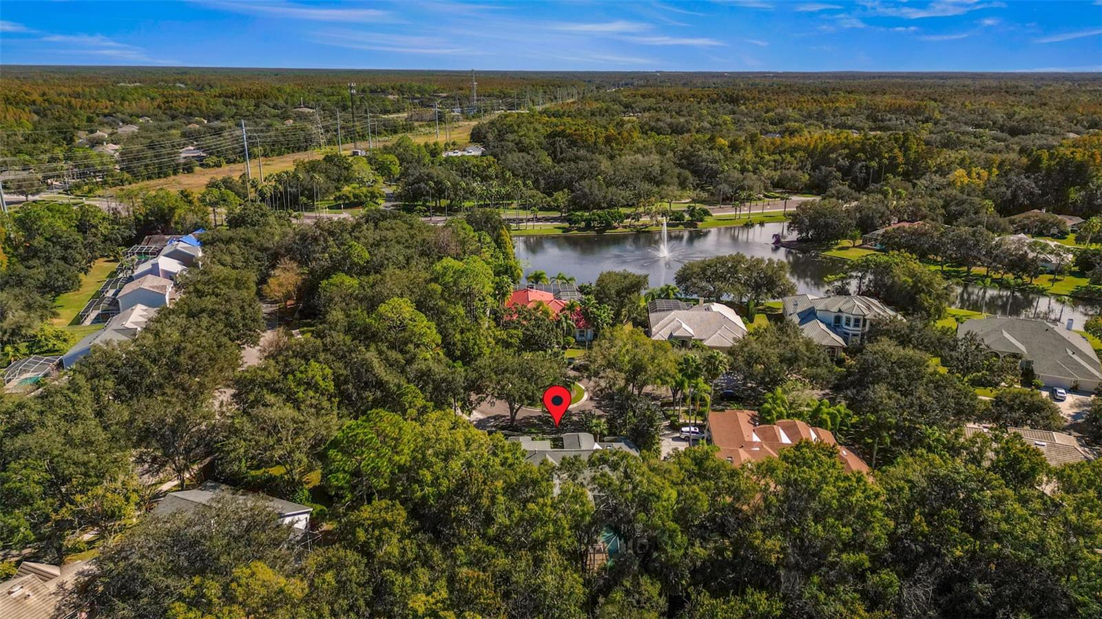 TAMPA PALMS - Residential