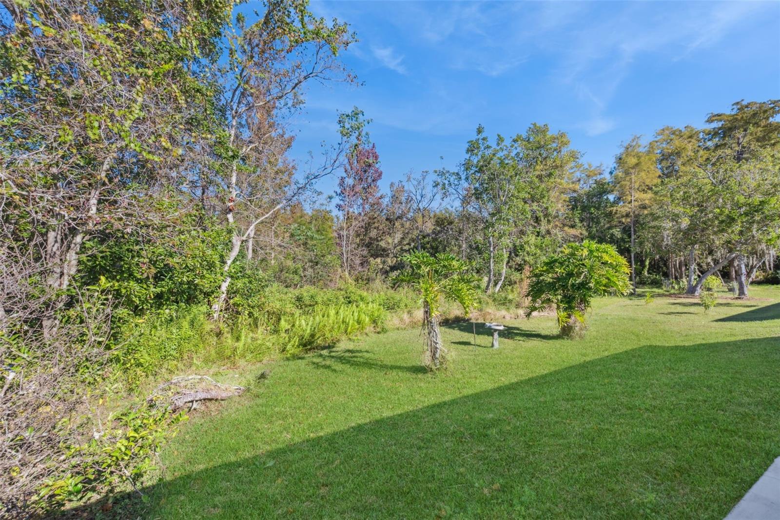 SPRINGLAKE VILLAGE PH 2A - Residential