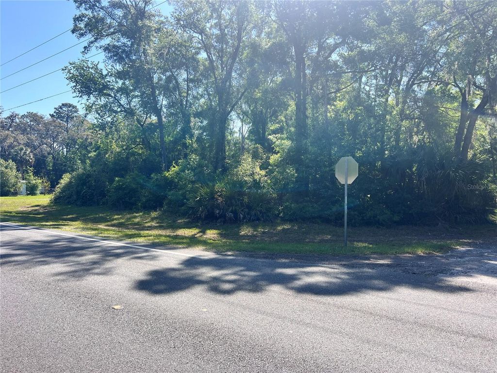 Photo of 9781 W Pomelo Lane, Crystal River, FL 34428 (MLS # OM700342)