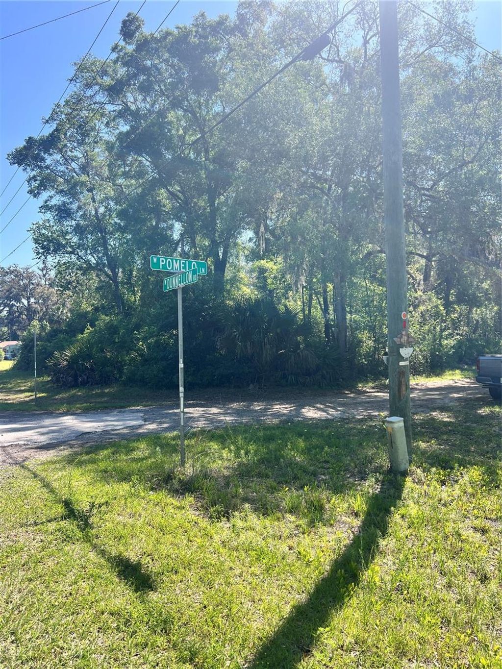 Photo of 9781 W Pomelo Lane, Crystal River, FL 34428 (MLS # OM700342)