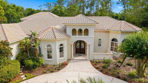 Photo of 18901 Lakes Edge Way, Odessa, FL 33556 (MLS # TB8507179)