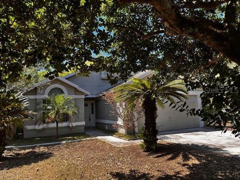 3144 GINGER CIRCLE ORLANDO FL 32826
