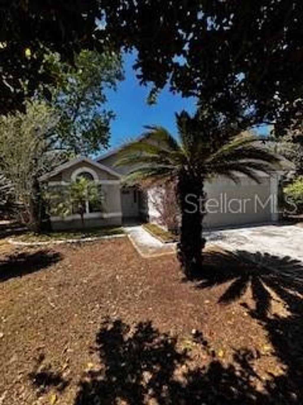 listing image 0