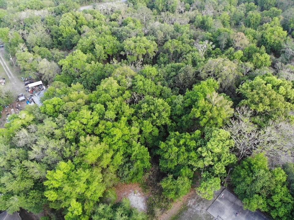 2156 OLD HICKORY TREE ROAD