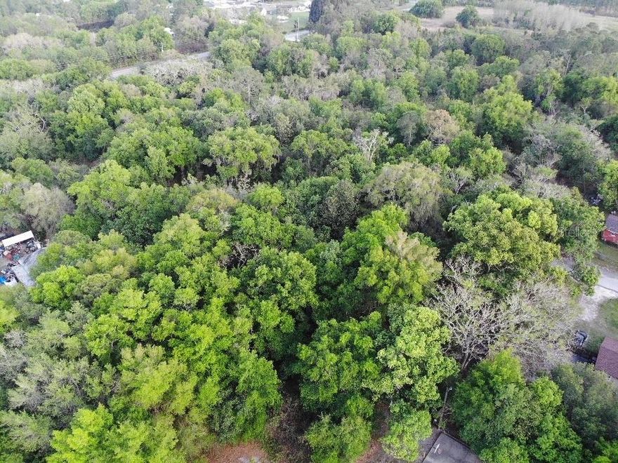 Build your vision on this vacant land opportunity in Saint Cloud located in a growing area. This area has a strong development potential. Not in a flood zone providing peace of mind and flexibility when you are planning. Enjoy the privacy of more secluded setting while still close to major roads, shopping, dining, and lake nona. Whether you are looking to build now or hold for future appreciation, this is a rare opportunity to secure land in one of Central Florida's fastest growing areas. No hoa, bring your builder and create exactly what you envision.