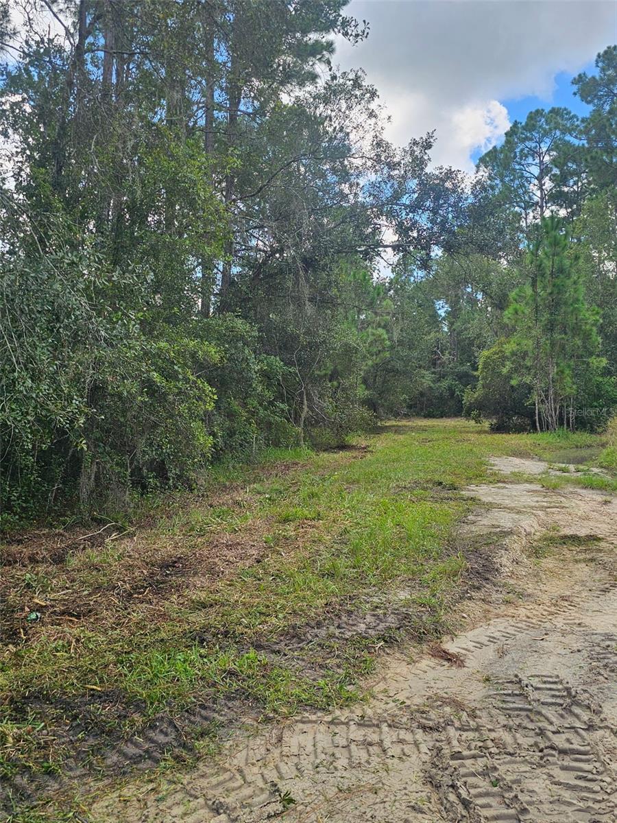 Photo of 1746 Country Woods Drive, Lakeland, FL 33809 (MLS # L4964998)