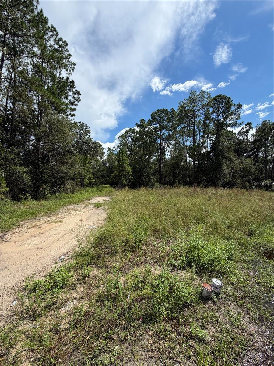 1746 COUNTRY WOODS DRIVE