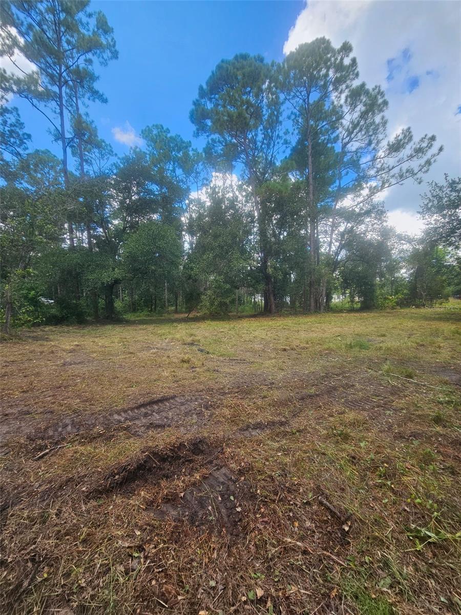Photo of 1746 Country Woods Drive, Lakeland, FL 33809 (MLS # L4964998)