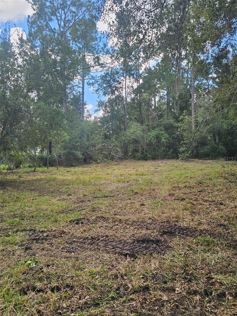 Photo of 1746 Country Woods Drive, Lakeland, FL 33809 (MLS # L4964998)