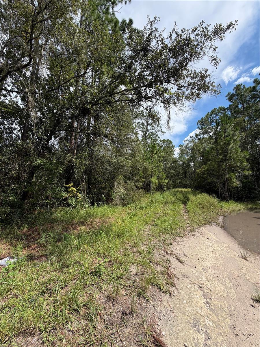 Photo of 1746 Country Woods Drive, Lakeland, FL 33809 (MLS # L4964998)