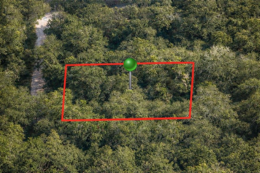 Perfect opportunity to build your dream home in the peaceful community of River Lakes Manor. Zoned for residential. No HOA, No CDD fees, and NOT in a flood zone. Surrounded by natural beauty, this lot is a haven for outdoor enthusiasts and nature lovers seeking a tranquil setting with serene views and a relaxed lifestyle. Enjoy the privacy and quiet while still being conveniently located near everyday essentials with easy access to SR 200 (N Carl G. Rose Hwy). Ideally positioned between Ocala, Dunnellon, Inverness, and Crystal River. Create your own private oasis at an affordable price. Don’t miss this opportunity to own a slice of Old Florida charm. Enjoy true Florida living; Hiking, biking, hunting, swimming, boating, fishing, bird watching, and beyond.