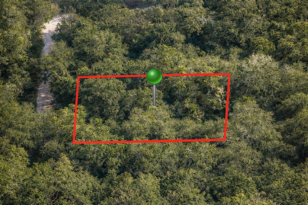 Photo of 6619 N Canopy Terrace, Hernando, FL 34442 (MLS # C7522341)