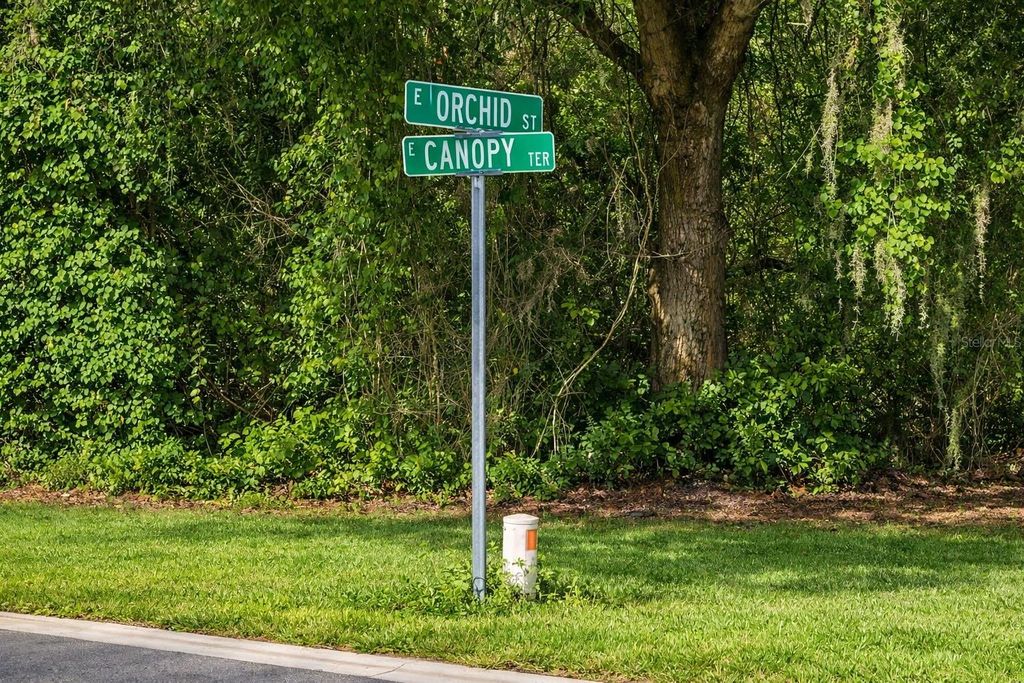 Photo of 6619 N Canopy Terrace, Hernando, FL 34442 (MLS # C7522341)