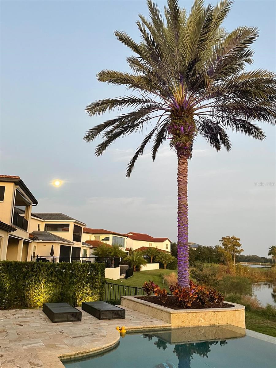 LAKESHORE PRESERVE PH 1 - Residential