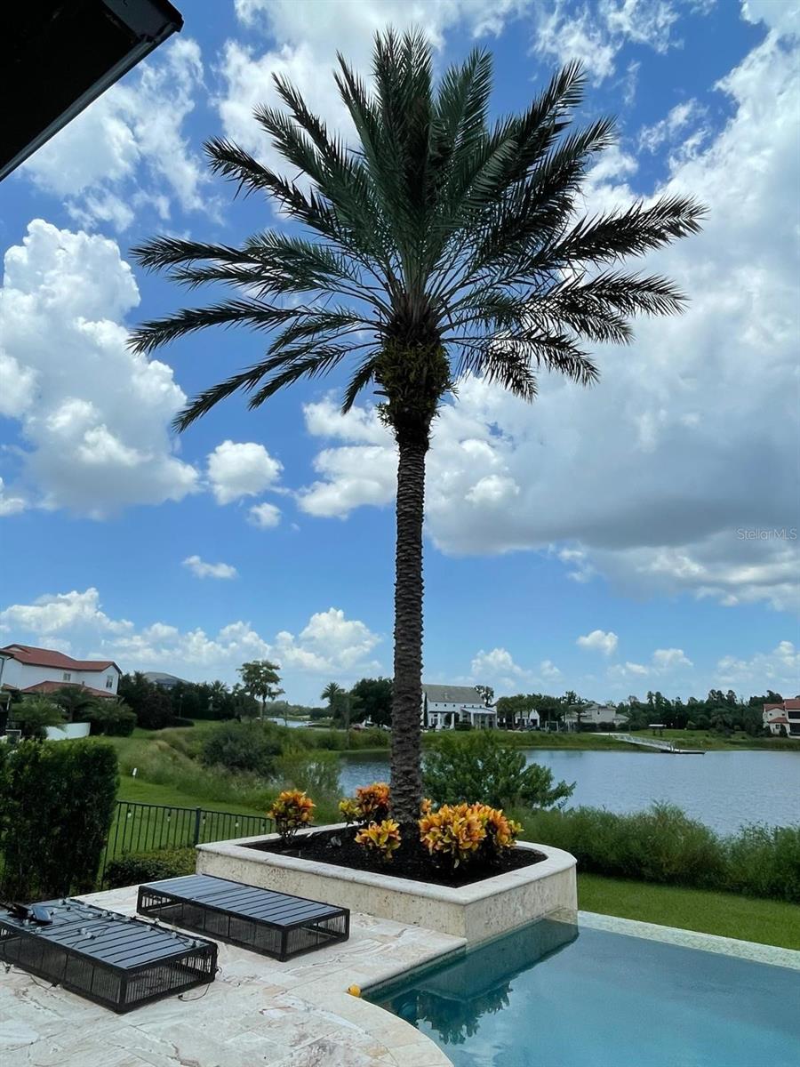 LAKESHORE PRESERVE PH 1 - Residential