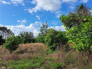 GROVELAND FARMS 05-23-25 - Land