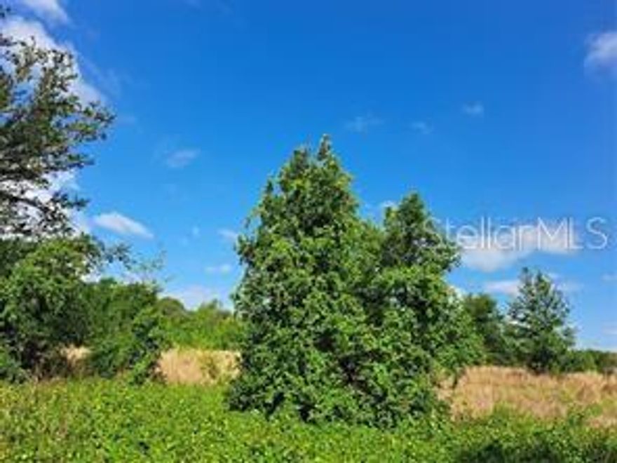 Absolutely gorgeous HIGH AND DRY 4.15 acres with NO HOA in the very desirable and rural  Groveland Farms area of Clermont, Florida on a PAVED ROAD!! Bring the animals and all your toys.... there's plenty of room to build your CUSTOM COUNTRY ESTATE, an accessory building, a pool, as well as AN ADDITIONAL LIVING DWELLING for the in-laws! Enjoy the quiet country setting while remaining a short distance from restaurants and shops!! With major attractions just a 45 minute drive, and both East and West Coasts just 1 1/2 hours away, this beautiful property is conveniently located in the heart of Central Florida. Call for your private showing today, and secure this gem for yourself!!