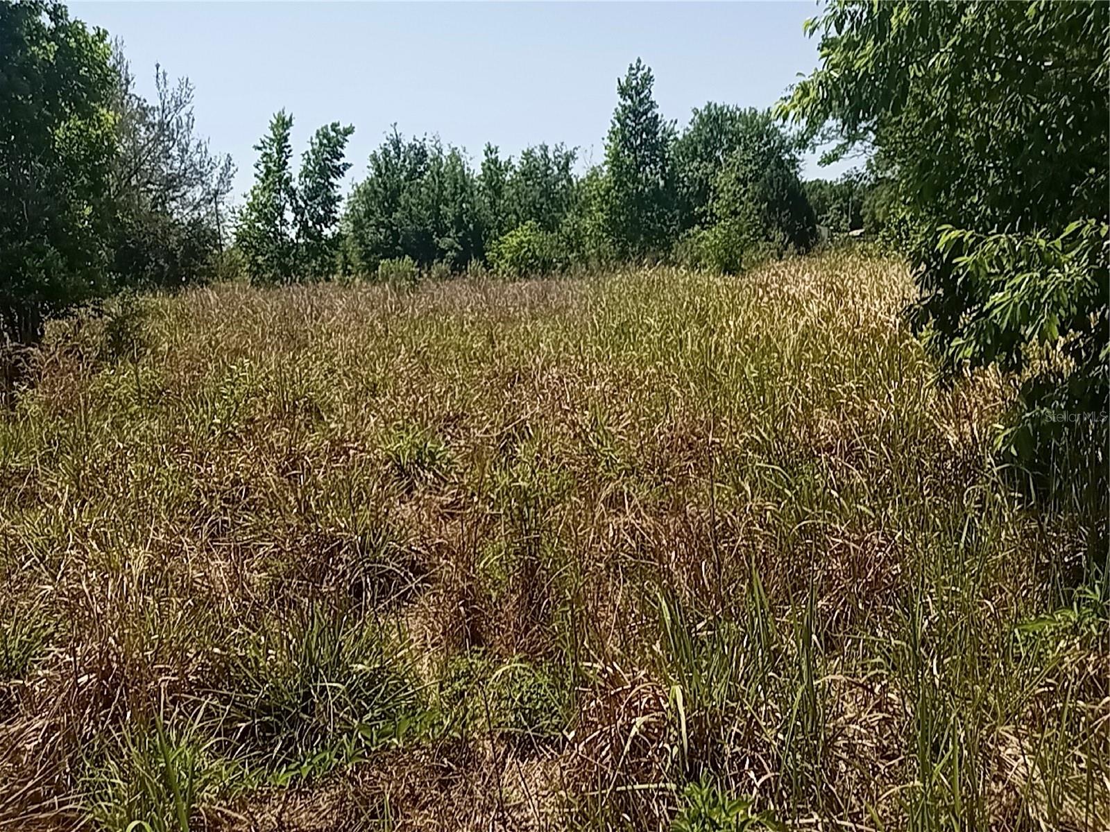 GROVELAND FARMS 05-23-25 - Land