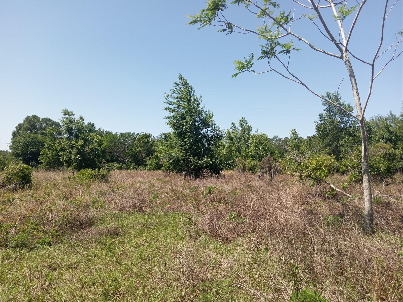 GROVELAND FARMS 05-23-25 - Land