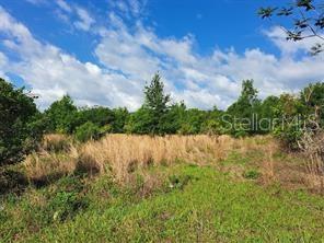 GROVELAND FARMS 05-23-25 - Land