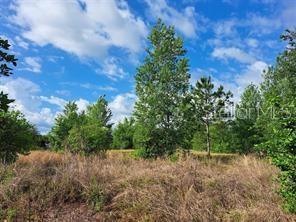 GROVELAND FARMS 05-23-25 - Land