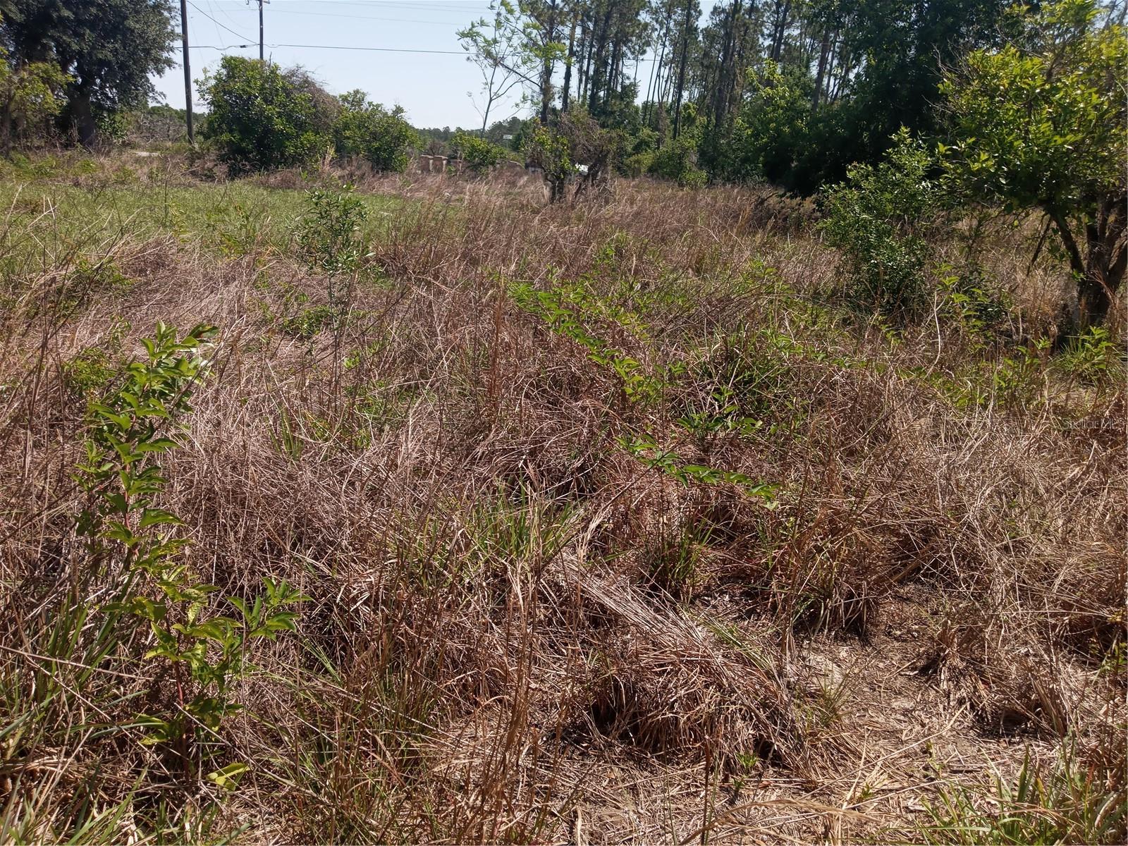 GROVELAND FARMS 05-23-25 - Land