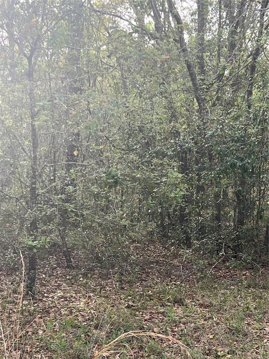 PRIME OPPORTUNITY to own 1.25 acres of vacant Land in rapidly growing Bronson, FL. This versatile parcel offers a variety of potential uses, including building a custom single-family home, creating a private retreat or mini-farm, or holding as a long-term investment in an expanding area. Bronson and the surrounding Levy County region continue to experience steady growth, with increasing development and improved access to nearby hubs such as Gainesville and Ocala. The property offers convenient access to outdoor recreation, natural springs, and Florida's renowned "Nature Coast" lifestyle. Within a short drive, enjoy attractions such as Devil's Millhopper Geological State Park, Cedar Key's waterfront and fishing village charm, and the world-famous crystal-clear springs of Central Florida. Residents also have easy access to shopping, dining, and entertainment in Gainesville, as well as Ocala's equestrian and historic districts. This property is priced to sell and presents an excellent opportunity for buyers seeking space, privacy, and future potential in a growing area.

THE SELLER IS HIGHLY MOTIVATED AND WILL CONSIDER ALL REASONABLE OFFERS.

Please note: Seller Financing is not available.