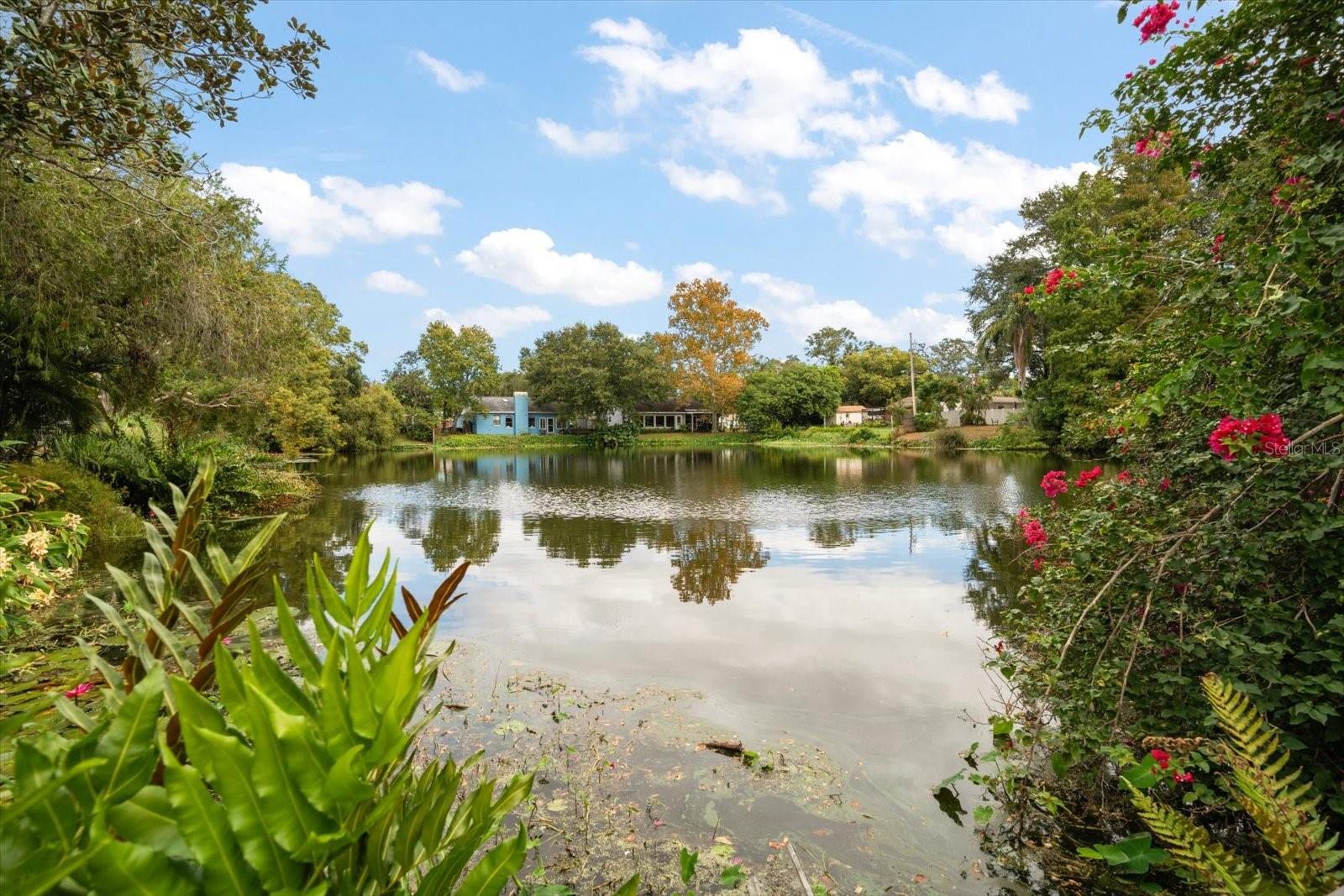 SPRING LAKE ESTATES - Residential