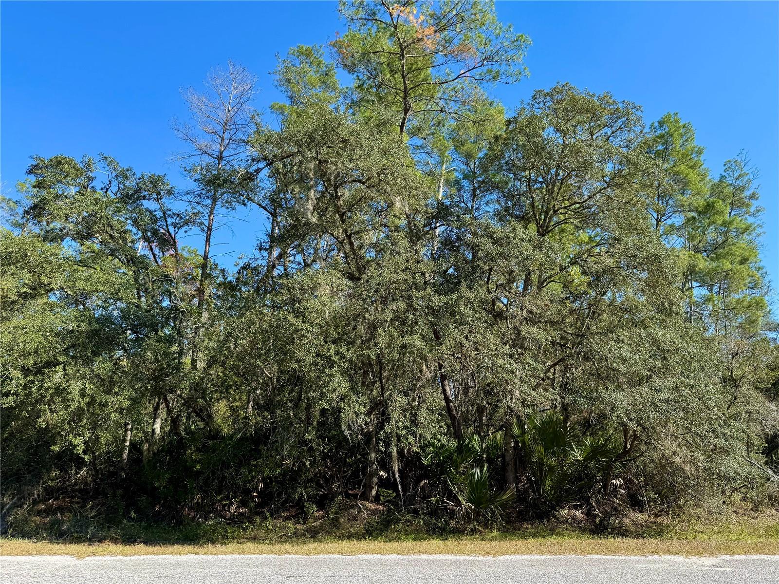 ROYAL TRAILS UNIT 01 - Land