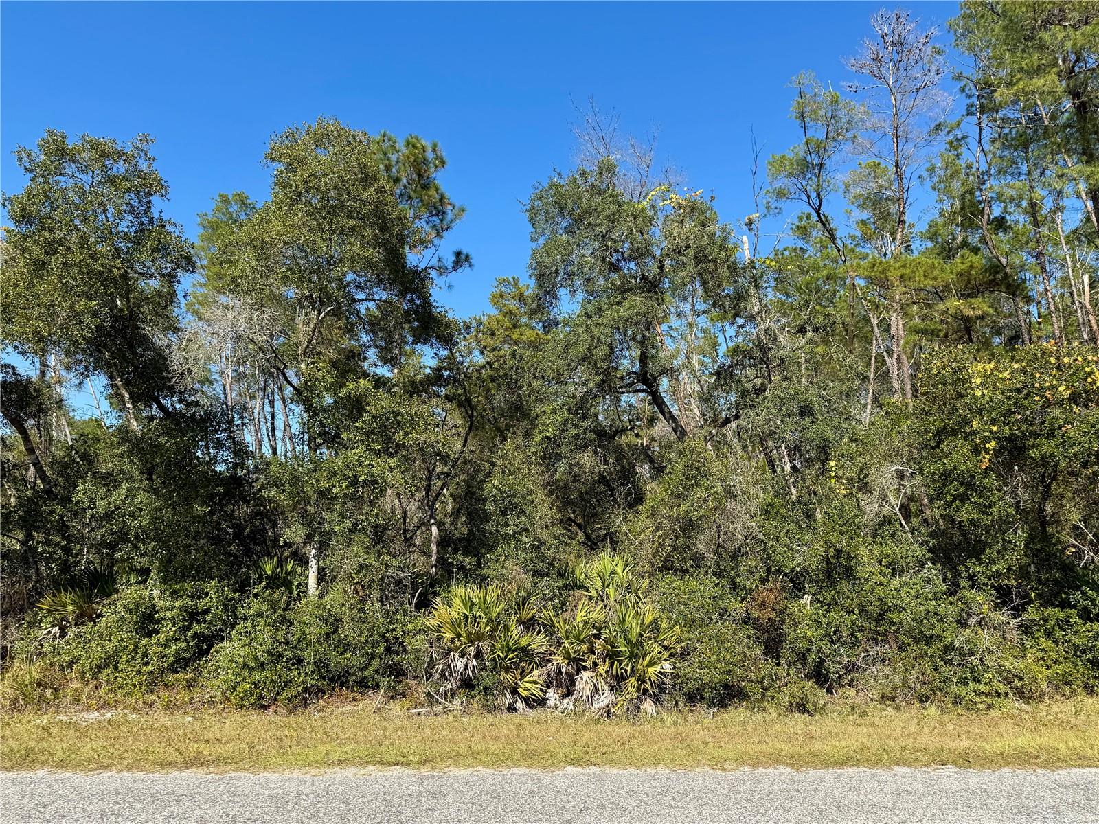 ROYAL TRAILS UNIT 01 - Land