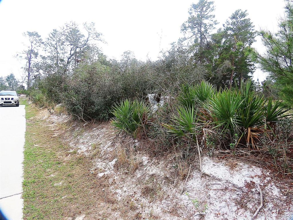 Photo of 71 Orchid Court, Kissimmee, FL 34759 (MLS # O6285113)